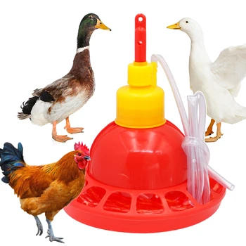  2023 Yeni Otomatik Tavuk içme çeşmesi Plasson Çan Tiryakisi Plastik Waterer Boru Çiftlik Hayvanları Kümes Hayvanları Besleme Malzemeleri