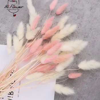  100 adet Mix Renkli Tavşan Tavşan Kuyruğu Çim Kurutulmuş Çiçek Buketi Boho Ev Vazo Dekorasyon Doğal Lagurus Ovatus Düğün Dekor