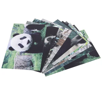  10 Adet Şükran günü hediye kartları hayvan tebrik kartpostal kağıt Panda bebek duş kartpostallar