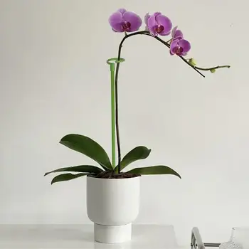  Çiçek rafı Tek Kök Bitki Standı Bitki Destek Stakes Phalaenopsis Orkide Adanmış Destek Nergis Zambağı Kafes Bitki Aksesuarları