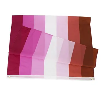  Dalga bayrağı Lezbiyen Bayrağı Pembe mor Gökkuşağı Bayrakları Polyester Pirinç Grommets ile 3X5 Ft Canlı Renk UV Solmaya Dayanıklı