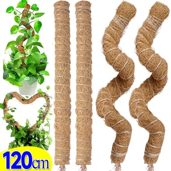  80/100/120cm Bükülebilir Bitki Stakes Bitki Tırmanma Direği Hindistan Cevizi Fiber Yosun Çubuk Kapalı Bitki Desteği Büyüme Çubukları Bahçe Aletleri